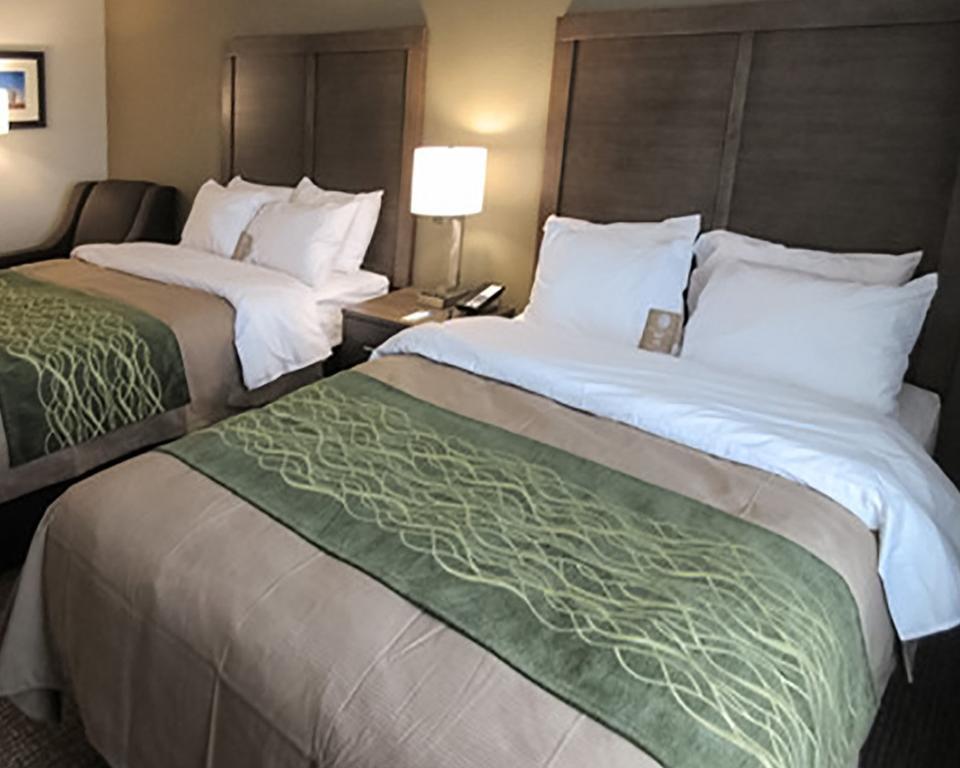 Comfort Inn&Suites Snyder Eksteriør billede