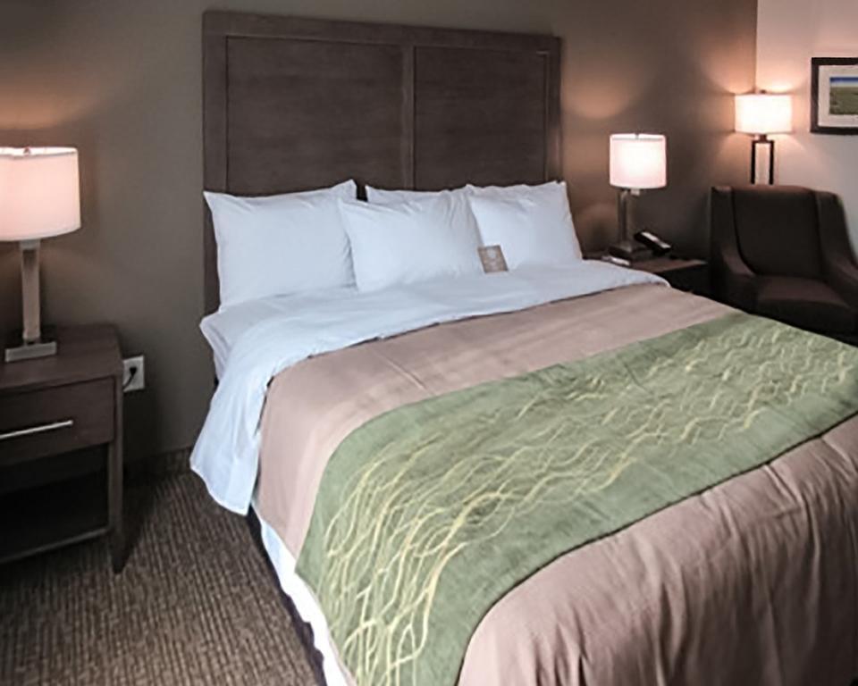 Comfort Inn&Suites Snyder Eksteriør billede